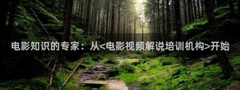 久久视频久久