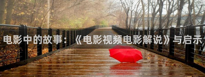 久久视频呀