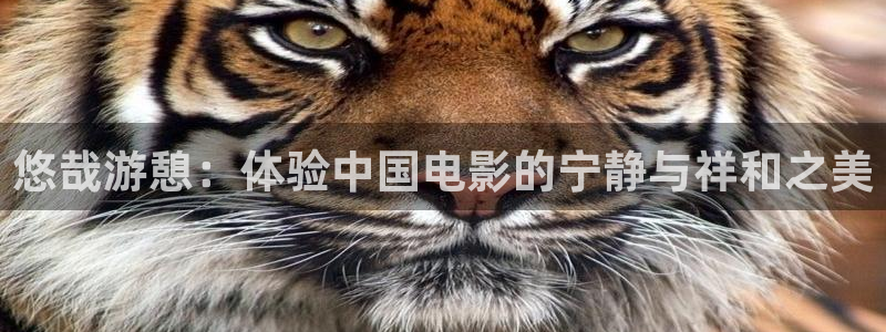 国内精品久久久久影院免费