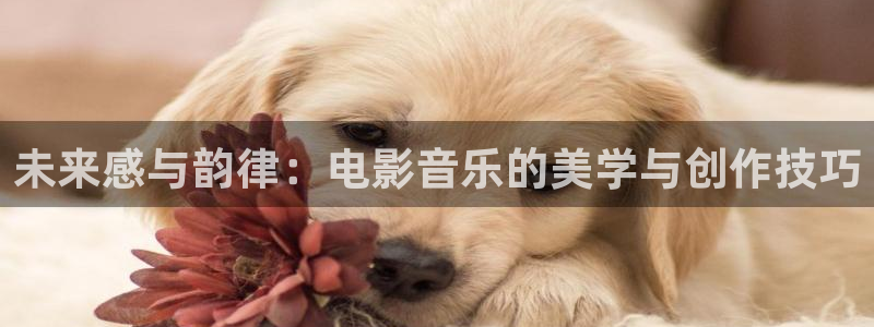 久久视频只有这精品