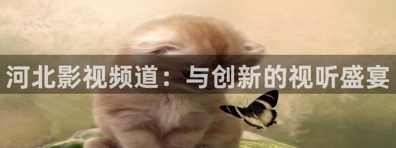 2019最新久久久视频精品