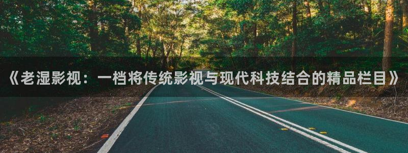 久久视频在线精品视频
