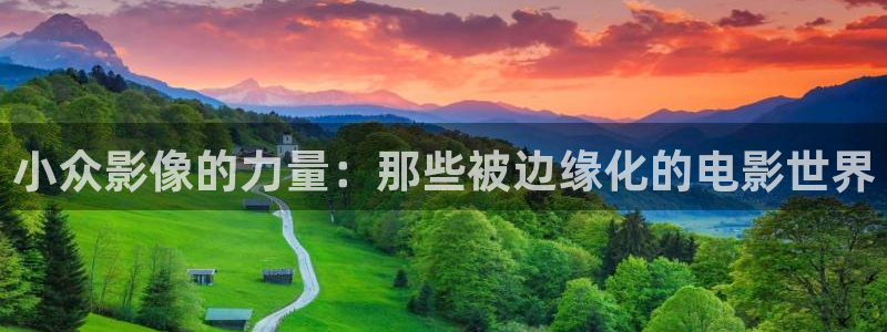 2019免费久久视频