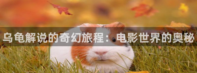 久久久久久久视频