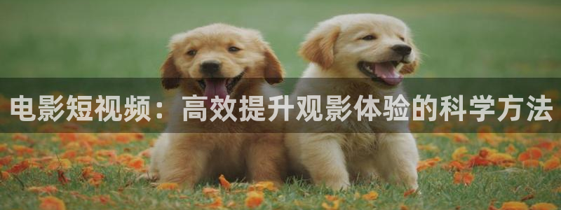 蜜桃影视久久久