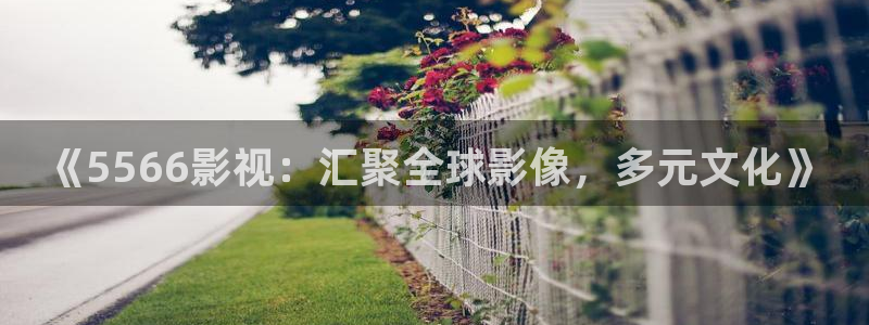 久久久亚洲精品成人影院