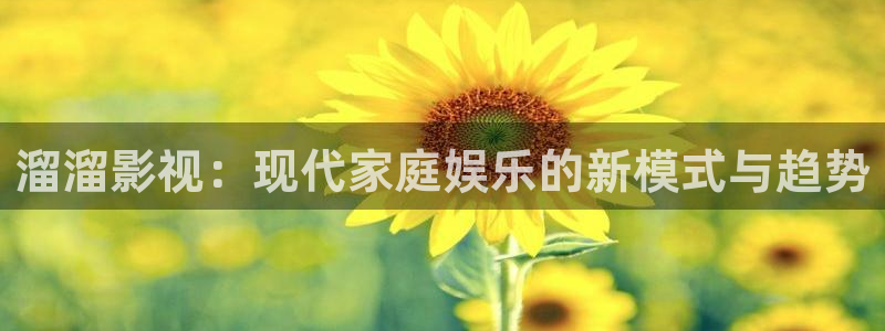 久久久久国产成人精品电影