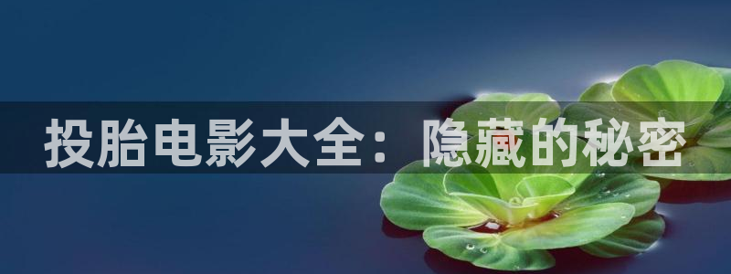 久久久久视频免费