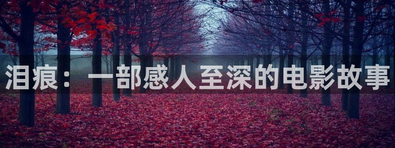 久久久影院在线