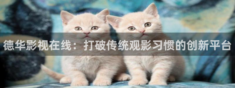 久久视频免费精品视频