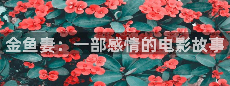 国产精品久久久久影院老司