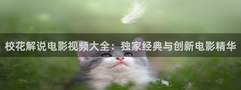 伊人影院久久久久久