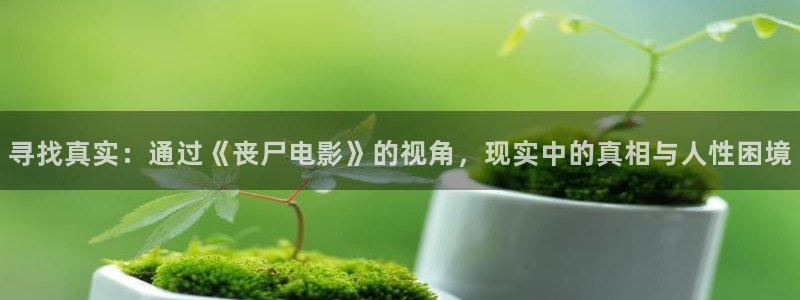 伊人影院久久久久久久久