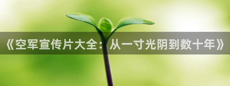 国产精品99久久久久影院