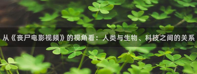 久久久电影网站