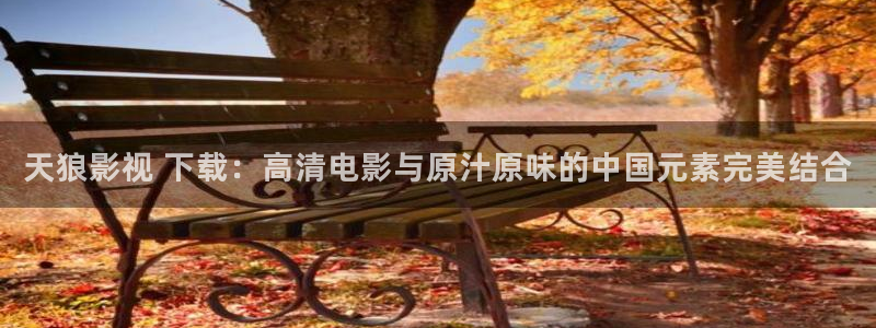久久久久海量视频