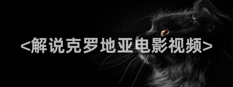 久久久国产精品桃花影视