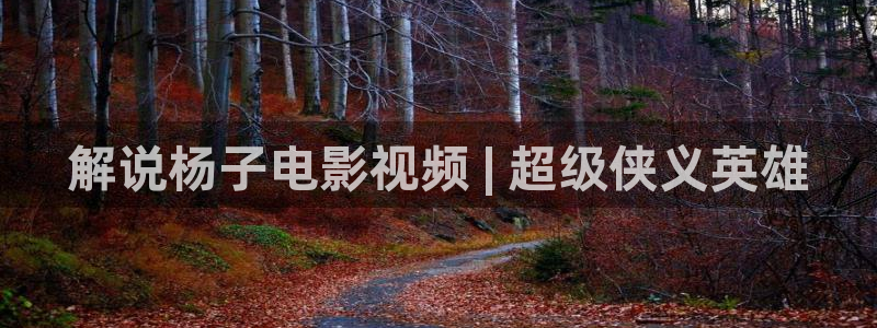 亚洲久久视频在线观看