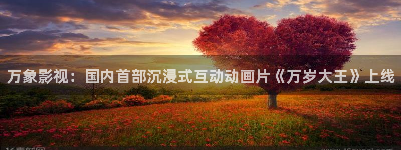 久久视频在