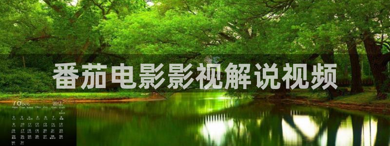 久久久久久久久国内精品影视