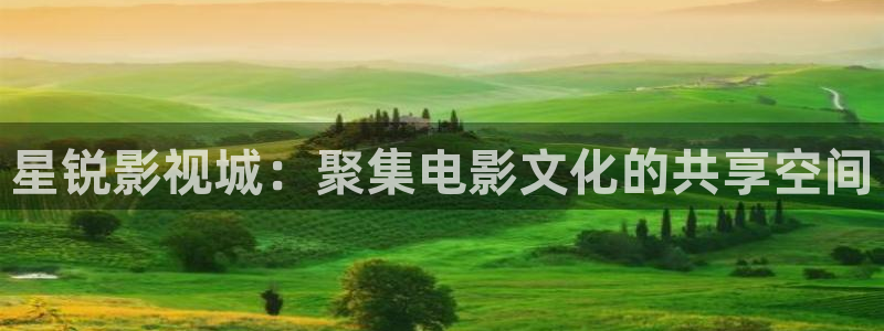 国产精品欧美久久久天天影视
