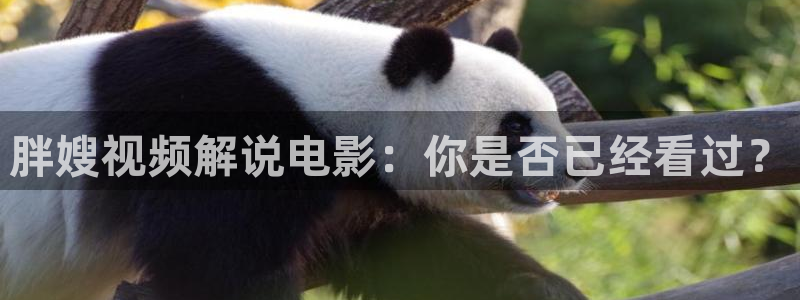 精品久久久久电影网