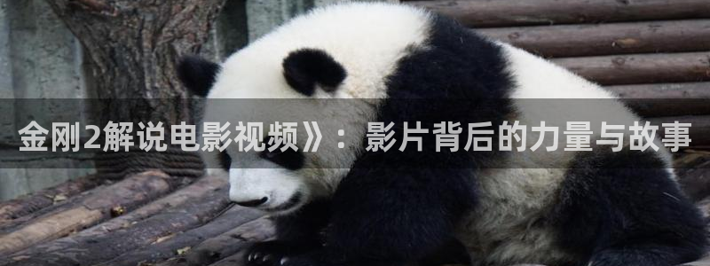 久久视频国产免