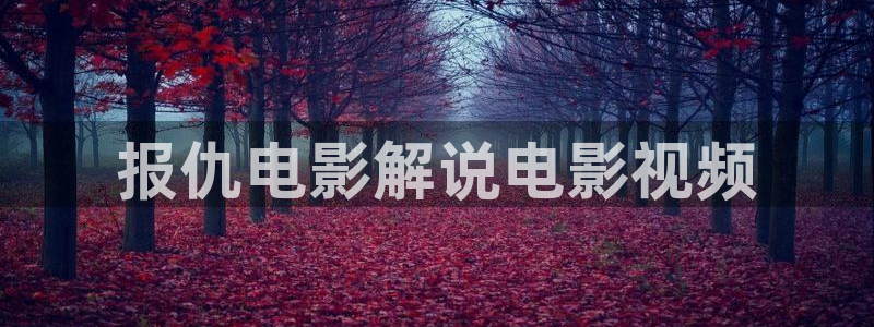 久久视频分类：报仇电影解说电影视频