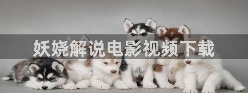 久久视频免费的：妖娆解说电影视频下载