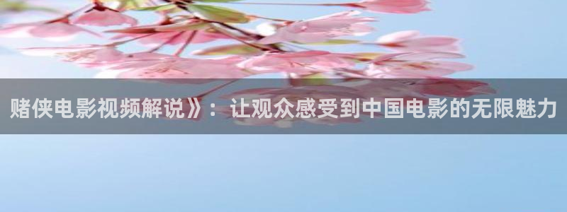 精品久久视频：赌侠电影视频解说》：让观众感受到中国电影的无限魅力