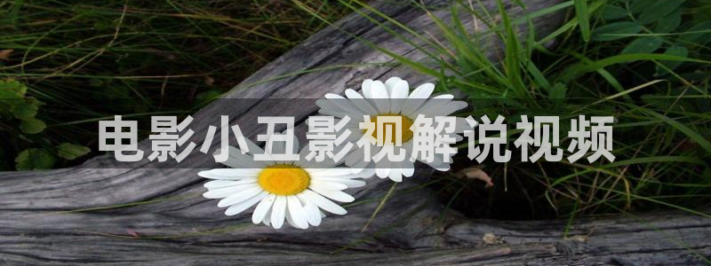 青草久久视频：电影小丑影视解说视频