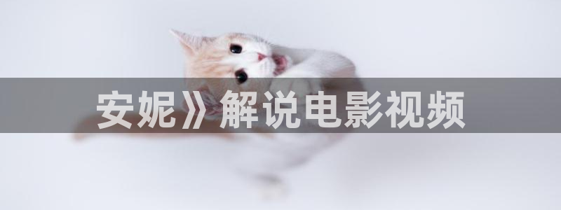 久久久嫩草影院：安妮》解说电影视频