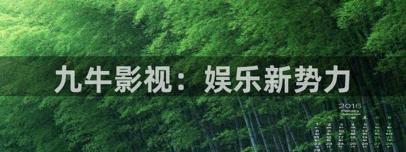 久久视频a：九牛影视：娱乐新势力