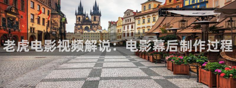 国产精品久久视频：老虎电影视频解说：电影幕后制作过程