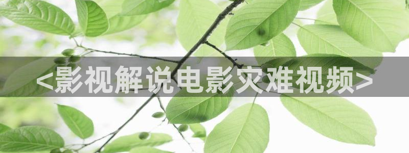 淫久久久影院：<影视解说电影灾难视频>