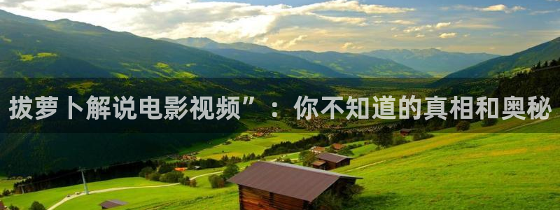 久久久久视频播放：拔萝卜解说电影视频”：你不知道的真相和奥秘