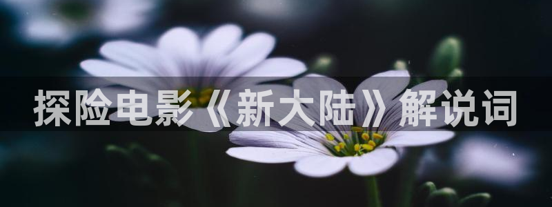 久久视频国产在线：探险电影《新大陆》解说词