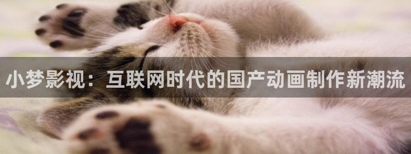 久久久精品影院av：小梦影视：互联网时代的国产动画制作新潮流