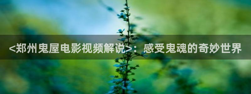 久久久久国产成人精品电影：<郑州鬼屋电影视频解说>：感受鬼魂的奇妙世界