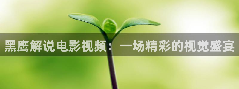 神马电影久久久：黑鹰解说电影视频：一场精彩的视觉盛宴