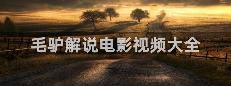 久久久久观看视频：毛驴解说电影视频大全