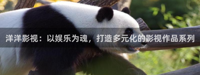 国产精品久久久久久亚洲视频：洋洋影视：以娱乐为魂，打造多元化的影视作品系列