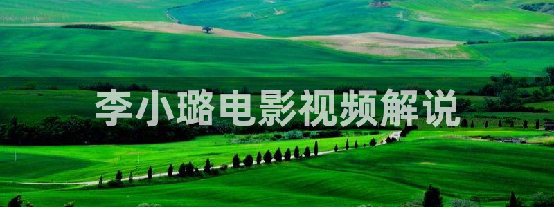 久久久久久亚洲av午夜：李小璐电影视频解说