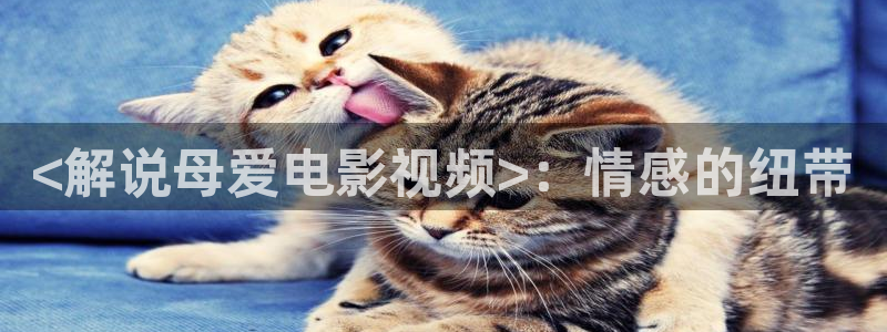 久久视频在线观看91：<解说母爱电影视频>：情感的纽带
