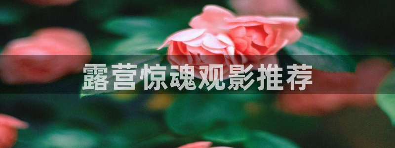 久久久网站在线观看：露营惊魂观影推荐