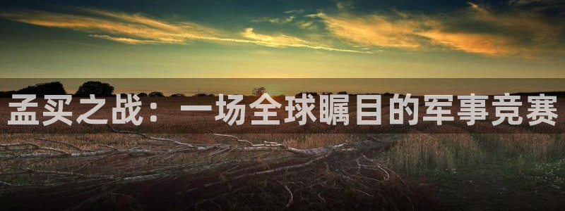国产精品成人久久久久三级午夜电影：孟买之战：一场全球瞩目的军事竞赛