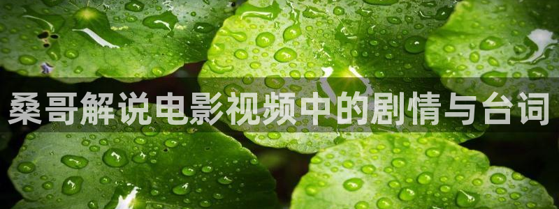 国久久视频：桑哥解说电影视频中的剧情与台词