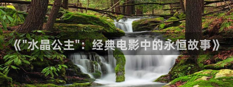国产精品电影久久久久电影院：《\