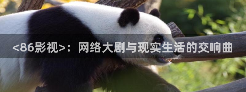 91久久视频在线观看：<86影视>：网络大剧与现实生活的交响曲