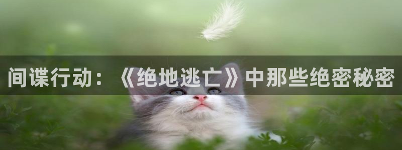 三级精品久久久久电影网